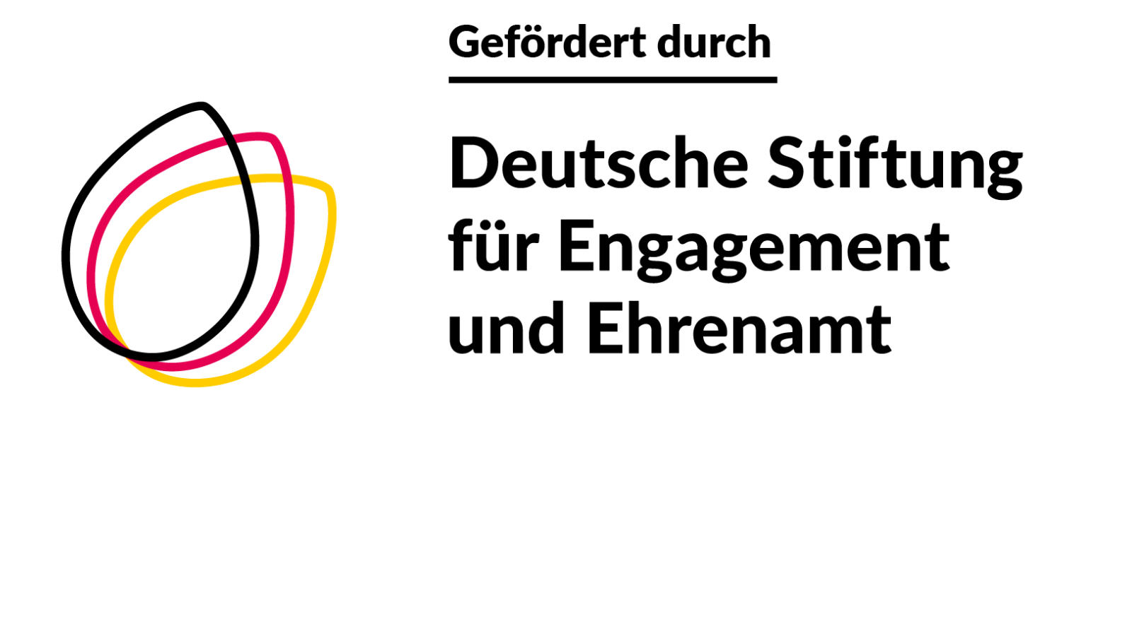 Förderlogo der Deutschen Stiftung für Engagement und Ehrenamt